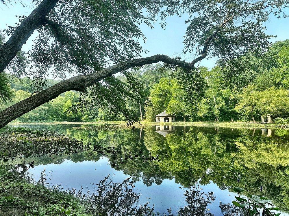 Forest Hill Park lake with the stone house reflected in still water beneath an old oak