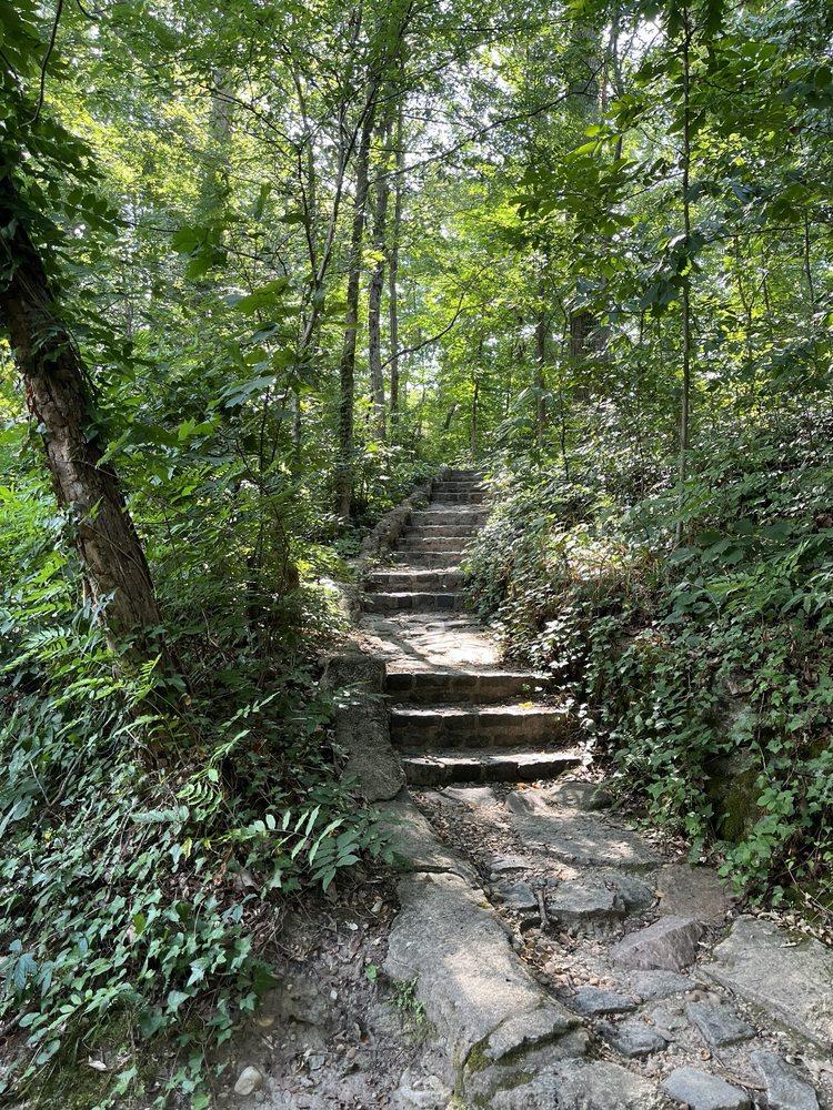 Stone steps on a shaded trail in Forest Hill Park